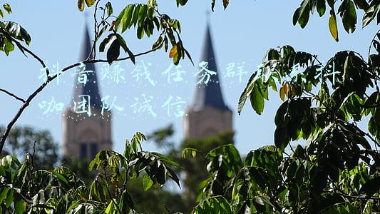 钱咖抢任务软件(钱咖。支持苹果手机，每月轻松多赚500元)