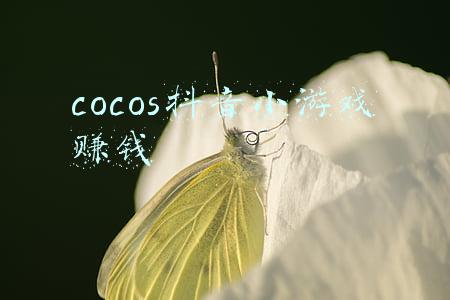 cocos抖音小游戏赚钱