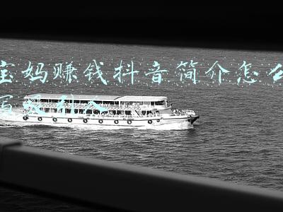 宝妈赚钱抖音简介怎么写吸引人