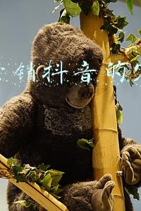 市场营销抖音的定位是什么