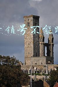 公众号如何获得粉丝(微信公众号运营如何获取优质粉丝)