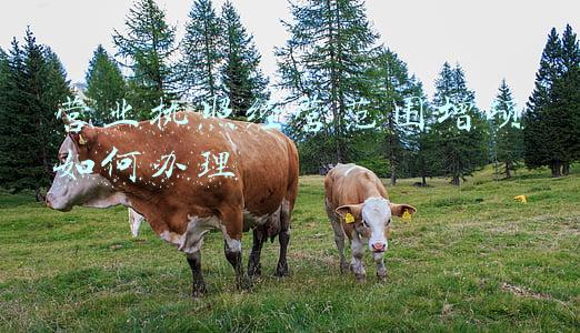 个体工商户营业执照经营范围明细_营业执照经营范围明细