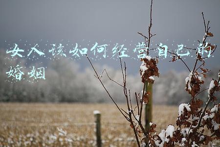 女人如何经营好婚姻家庭-好的婚姻女人应该怎么经营