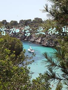 营业执照想增加经营范围需要什么手续?（营业执照想增加经营范围需要什么手续）