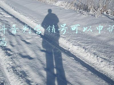 烟雨江湖女号判门路线(烟雨江湖文皇经获取攻略)