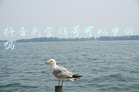 抖音判营销号可以申诉吗