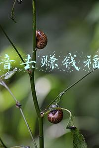 抖音去赚钱福袋