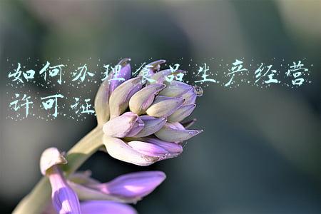 如何办理食品经营许可；食品许可证办理流程