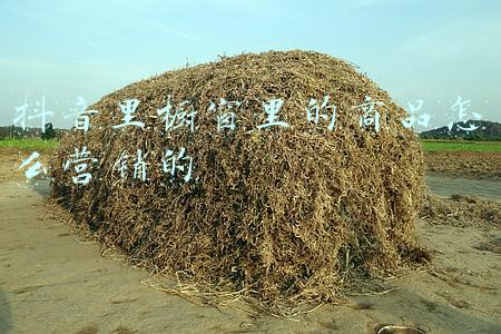 抖音开通商品橱窗步骤(抖音怎么开通商品橱窗 资格条件与申请商品分享功能方法)