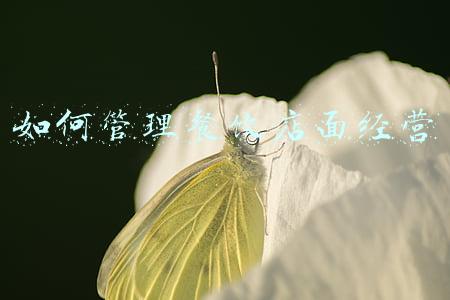餐饮店面门头设计效果图大全_餐饮店面门头设计