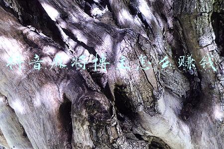 抖音文案博主怎么赚钱(新手如何靠文案写作赚钱？我的真实体验分享，在家就能赚钱)