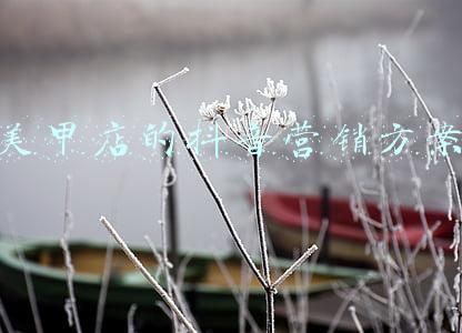 美甲抖音文案(「干货自取」8月美业朋友圈文案，请查收)