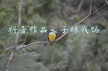抖音火了的歌(抖音音乐知多少？10首超热门抖音歌曲与你分享)