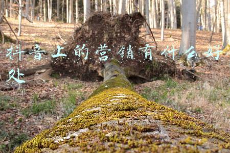 抖音上的营销有什么好处