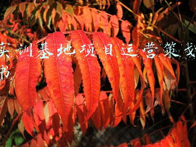 实训基地项目运营策划书