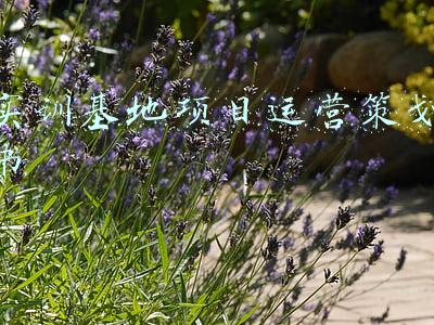 实训基地项目运营策划书