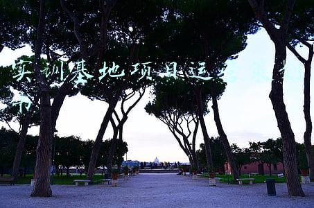 实训基地项目运营策划书
