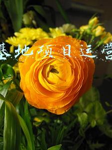 实训基地项目运营策划书