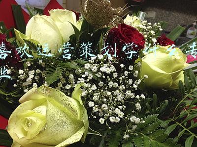 喜欢运营策划学什么专业