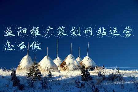 益阳推广策划网站运营怎么做