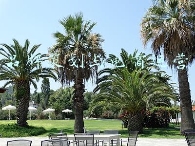 品牌策划与推广(如何写出好的品牌策划推广方案？)