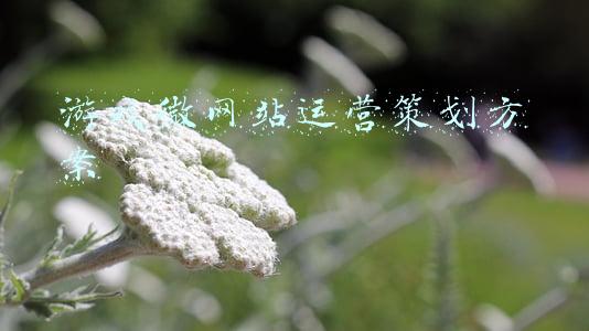 游戏策划方案范文(327游戏营销策划方案（15份）)
