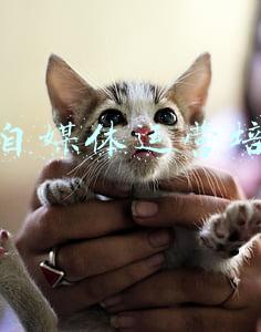 合肥自媒体运营培训班