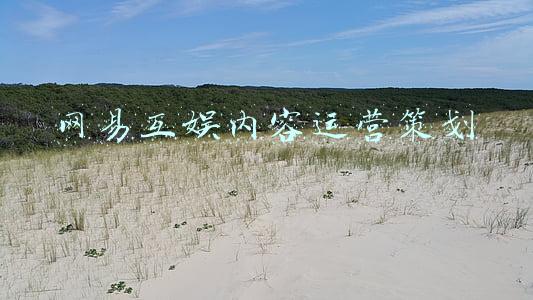 网易开发者内容管理(网易主美深度拆解：运营18年的老产品，如何靠一套理念华丽蜕变？)