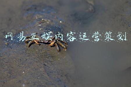 网易互娱内容运营策划