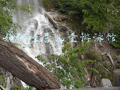 少儿游泳馆加盟-如何加盟儿童游泳馆