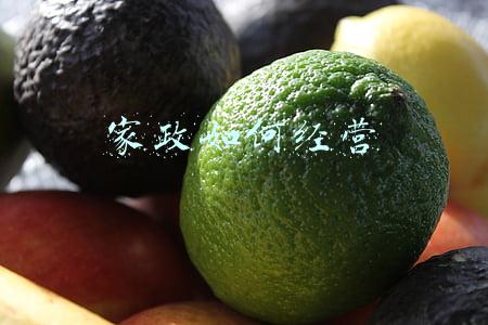 家政运营(家政公司如何运作)