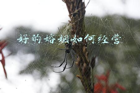 怎样经营好婚姻家庭（怎样经营好婚姻）