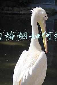 结婚以后如何经营好自己的婚姻：如何经营好自己的婚姻