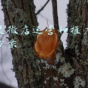 童装企划方案(童装品牌全案策划思路与战略)