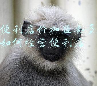 开一个便利店需要投资多少钱_开一家便利店多少钱