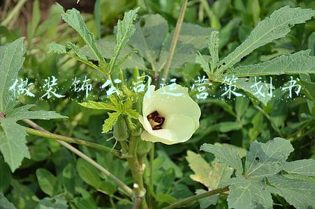 做装饰公司运营策划书