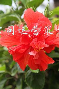 服装公司运营计划书(多行业商业计划书)