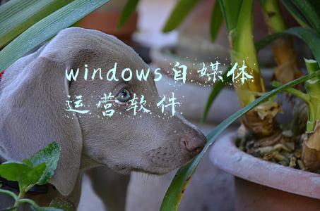 自媒体管理软件(多个自媒体平台管理工具哪个好用？媒小帮全能工具试试吧)