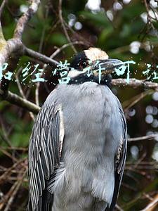 危险品运输许可证去什么部门办理_危险品运输许可证