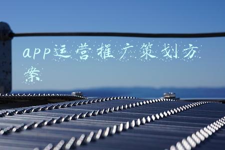 app运营推广方案模板(生鲜配送APP开发完成后如何运营？)