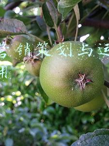 美业运营策划公司(美容院店务管理PK营销策划，哪项更重要？)