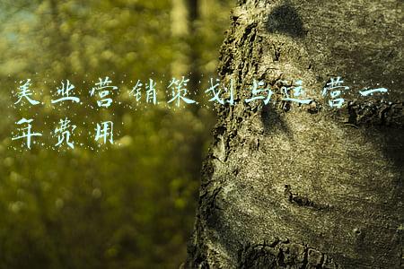 美业策划是什么(余秋锦美业全案策划——美容师职业发展规划篇)
