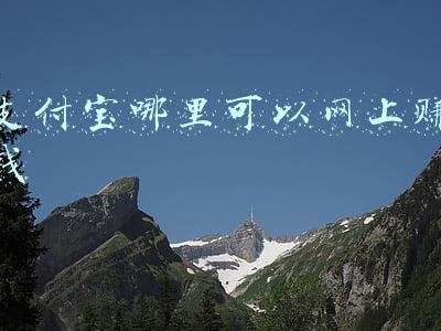 支付宝哪里可以网上赚钱