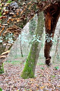 如何开家政服务公司(我想开个家政公司怎么开)