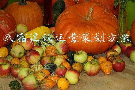 民宿活动策划方案(途家VS木鸟VS小猪VS 美团，四大民宿促销之上再做尝试)