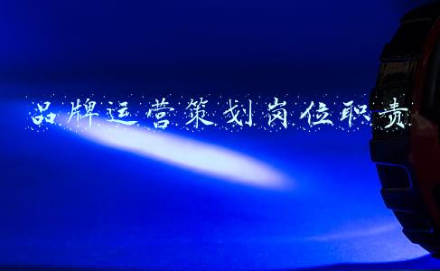 品牌策划部门职责(「标美联合 公司」品牌策划具体包含哪些内容)