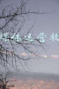 自媒体软文(一篇软文稿费高达1万，自媒体时代，会写作=印钞机)