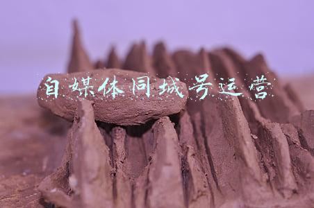 自媒体同城号运营