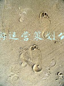 旅游运营策划公司