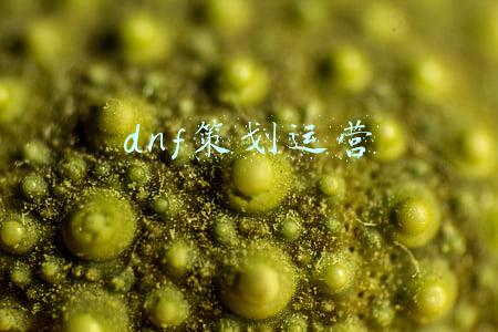 dnf手游策划(DNF：策划套路深，手游再次招募，1500万预约玩家被耍)